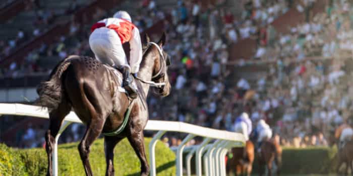 Illegal Horse Race Betting in the UK Skyrockets 522%